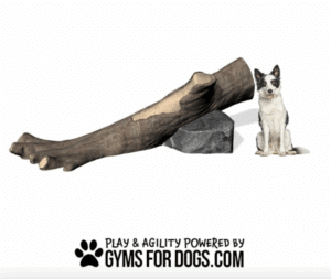 A black and white dog sits beside the Incline Log Climb - Interactive Play Series, a large, realistic tree branch dog chew, with a stone next to it. Text below reads "Play & Agility Powered by GymsForDogs.com" with a paw print.
